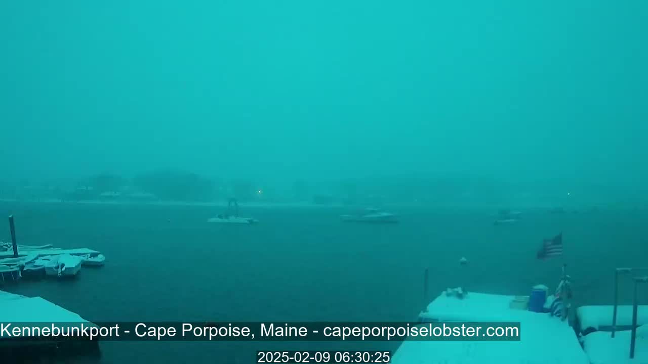 A snowstorm obscures the view of a harbor with boats moored at a snow-covered dock.