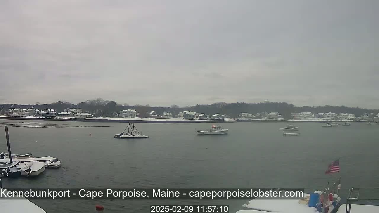 A snow-covered waterfront town is visible across a calm body of water, where several boats are moored.