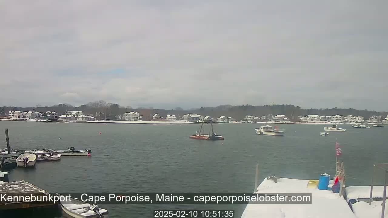 A calm body of water with several boats docked and moored, snow-covered houses and trees in the background under an overcast sky.