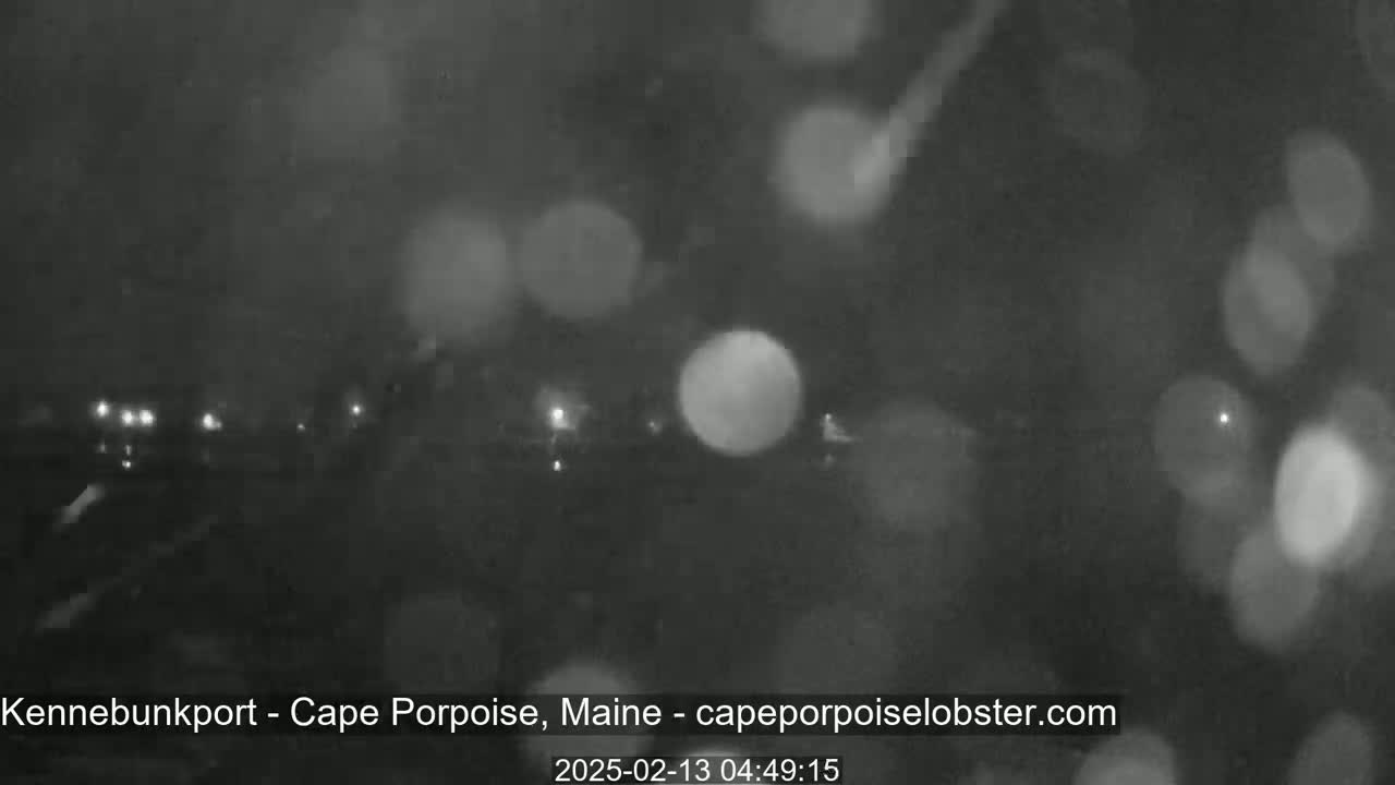 A blurry nighttime image shows a road with distant lights through heavy rain.