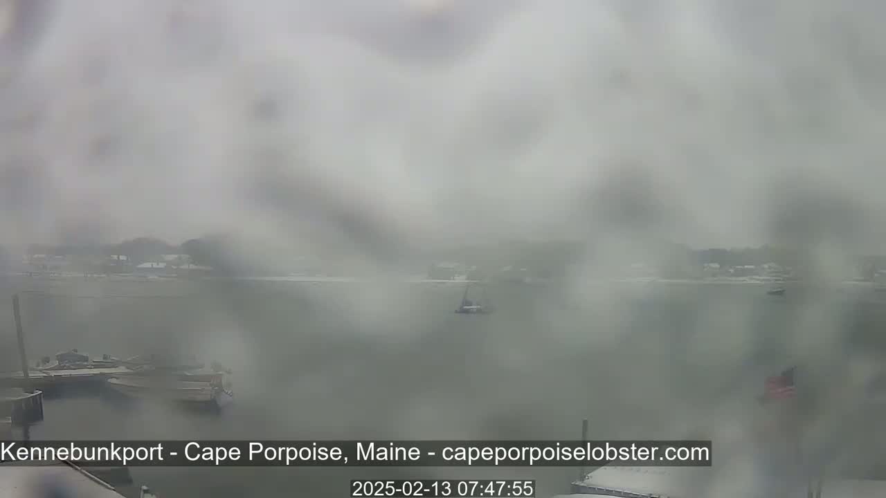 A blurry view of a harbor with boats, partially obscured by a snowy, foggy atmosphere.