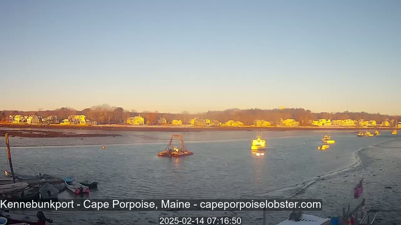 Several boats are on calm water in front of a shoreline with houses under a clear, sunrise sky.