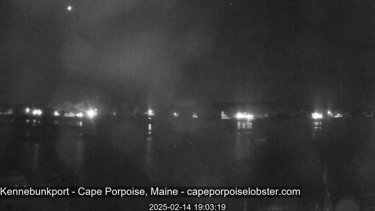 A nighttime view of a calm body of water with faintly visible lights along the shore under a dark, hazy sky.