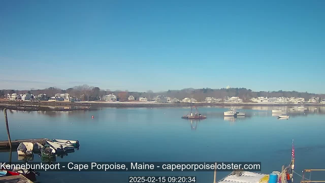 Several boats are moored in a calm, clear body of water in front of a shoreline with houses and trees under a bright blue sky.