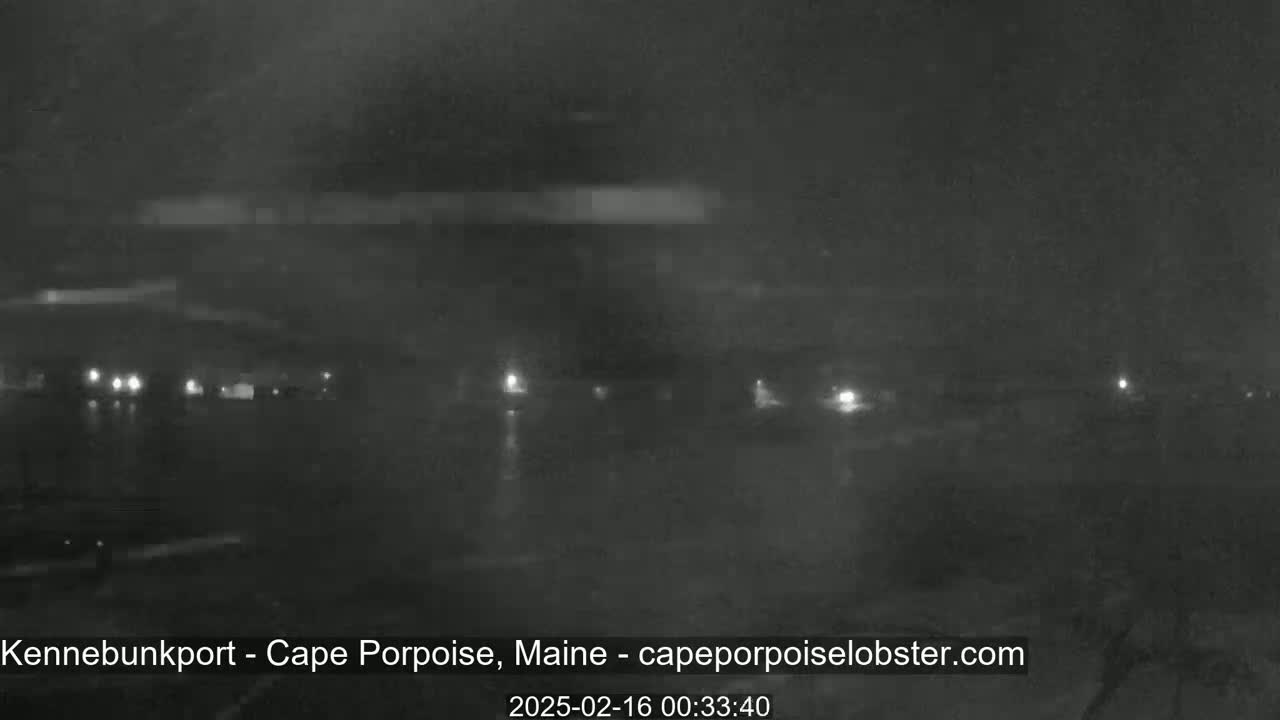 A nighttime, low-light view of a dark, possibly rainy, waterfront area with faint lights visible in the distance.