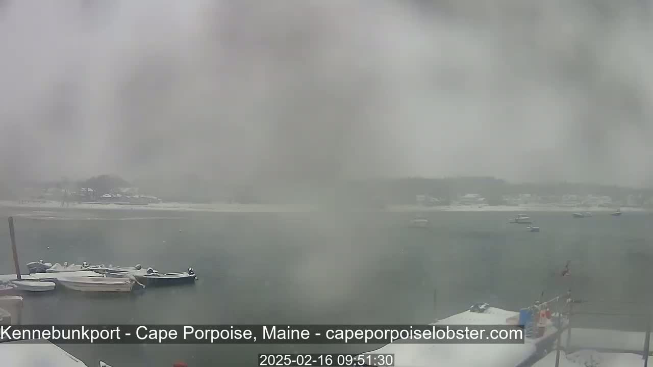 A snow-covered harbor scene shows several boats docked at a pier, with a hazy, snowy landscape visible in the background.
