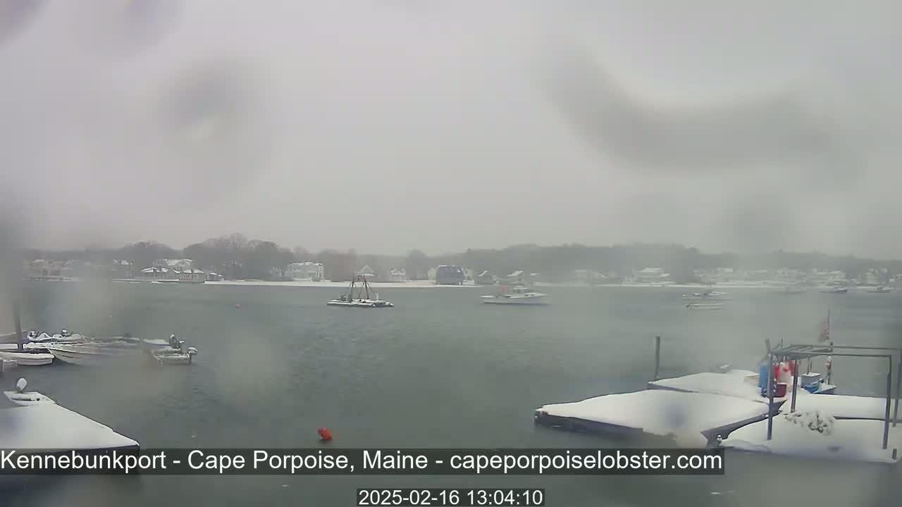 A snow-covered harbor scene shows several boats moored at docks and a few others on the water, with a snow-covered shoreline in the background under a gray, snowy sky.