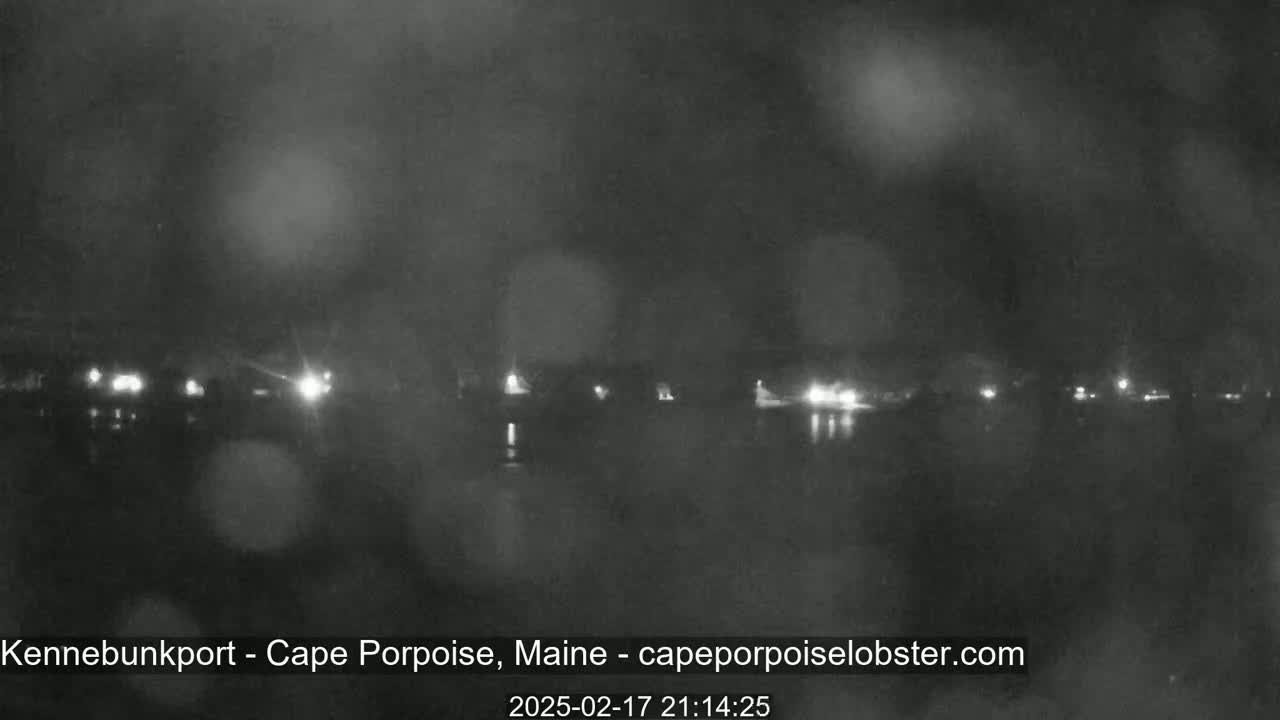 A nighttime, blurry view of a body of water with faint lights across the far shore, under a dark, possibly foggy or rainy sky.