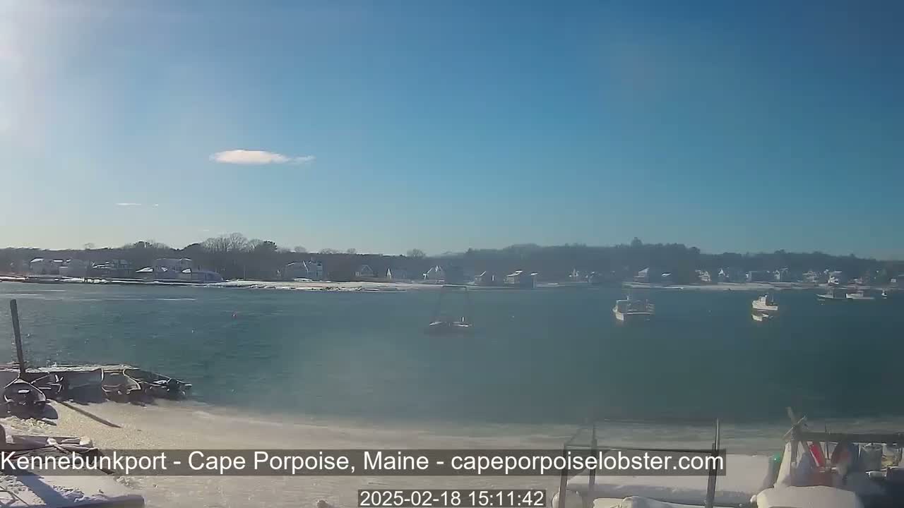 A sunny day reveals a calm body of water with several boats, a snow-covered shoreline, and houses nestled amongst trees in the background.