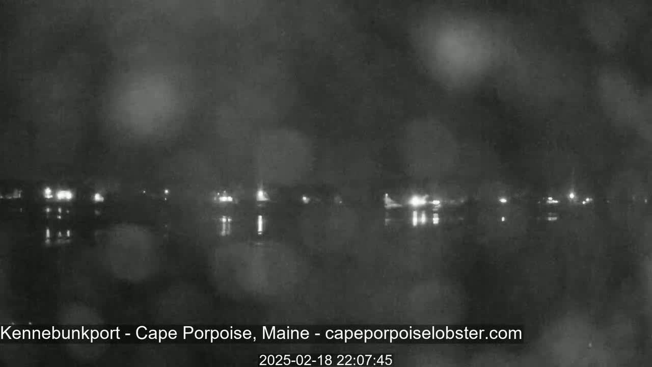 A nighttime, blurry view of a body of water with lights from a town visible across the water under a dark and possibly misty sky.