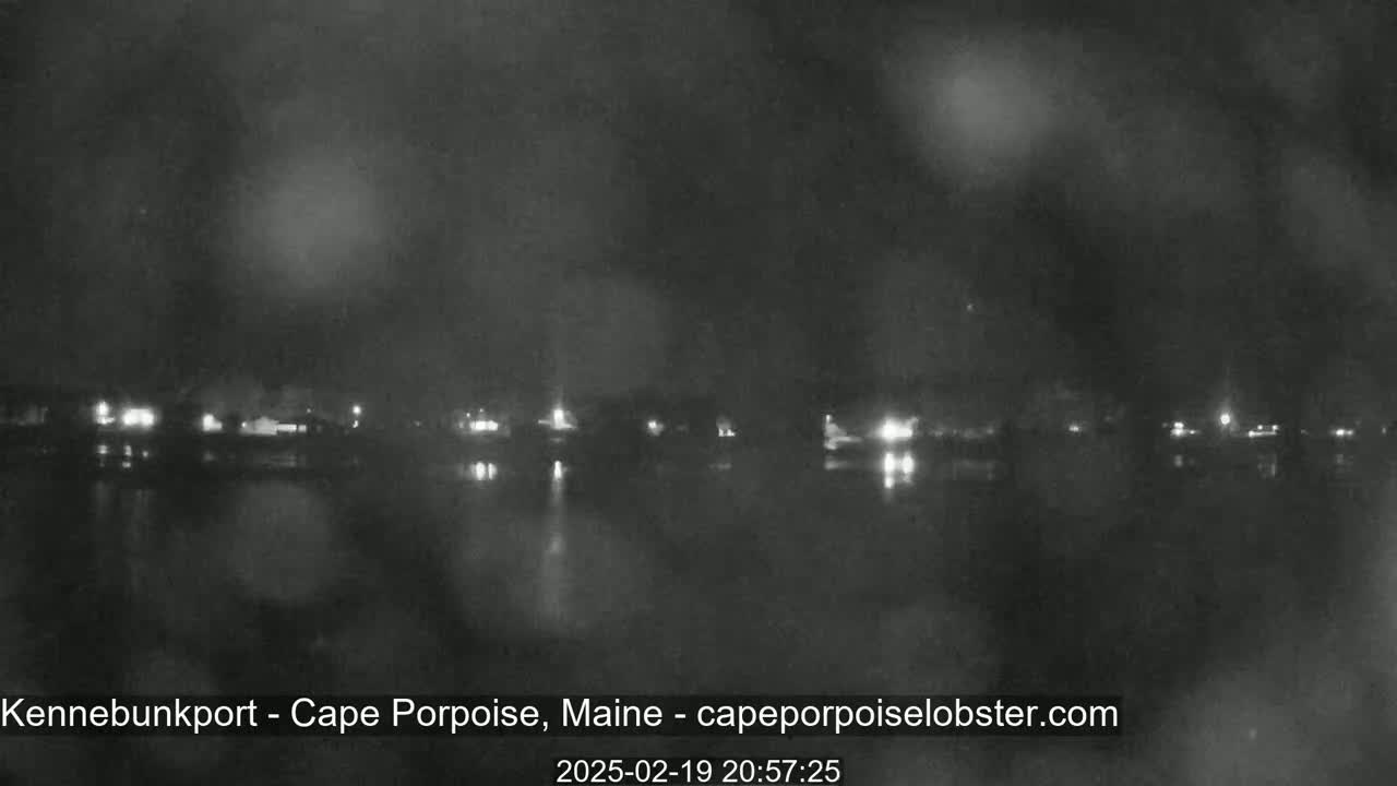 A nighttime, blurry view of a calm body of water reflecting scattered lights from a distant shoreline under a dark, possibly overcast sky.