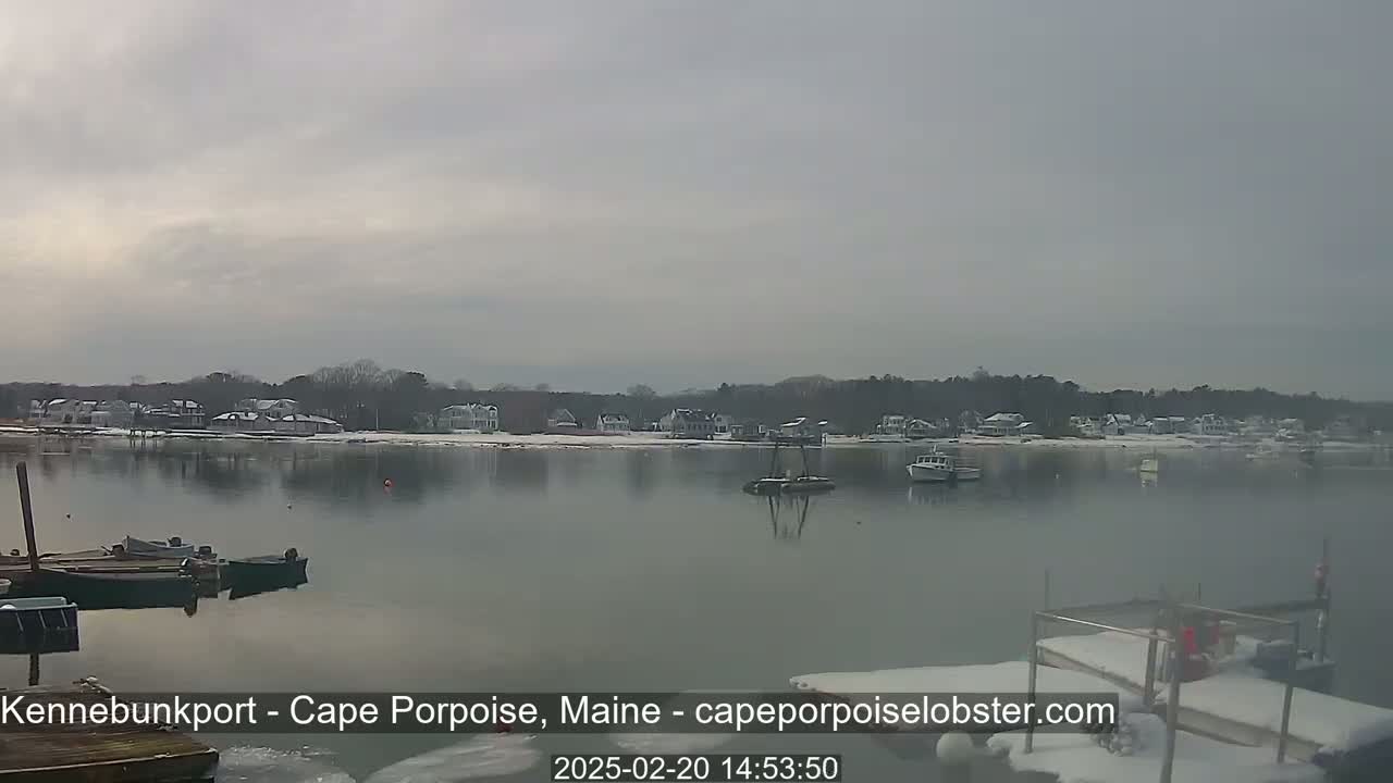 A calm body of water with several boats moored at a dock, and a snow-dusted shoreline with houses visible in the distance under an overcast sky.