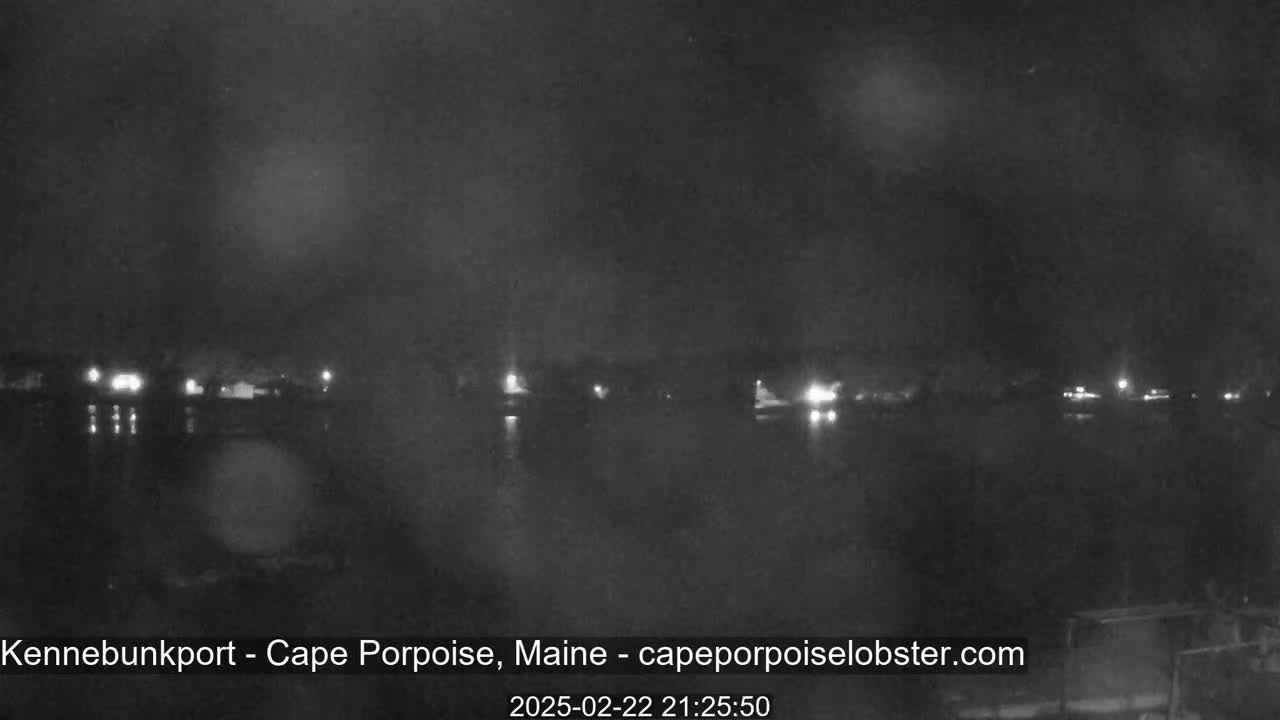 A nighttime, dark view of a calm body of water reflecting a sparsely lit shoreline.