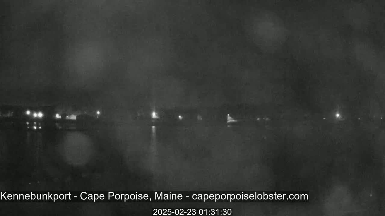 A nighttime, blurry view of a dark body of water with faint lights from buildings across the water under an overcast sky.