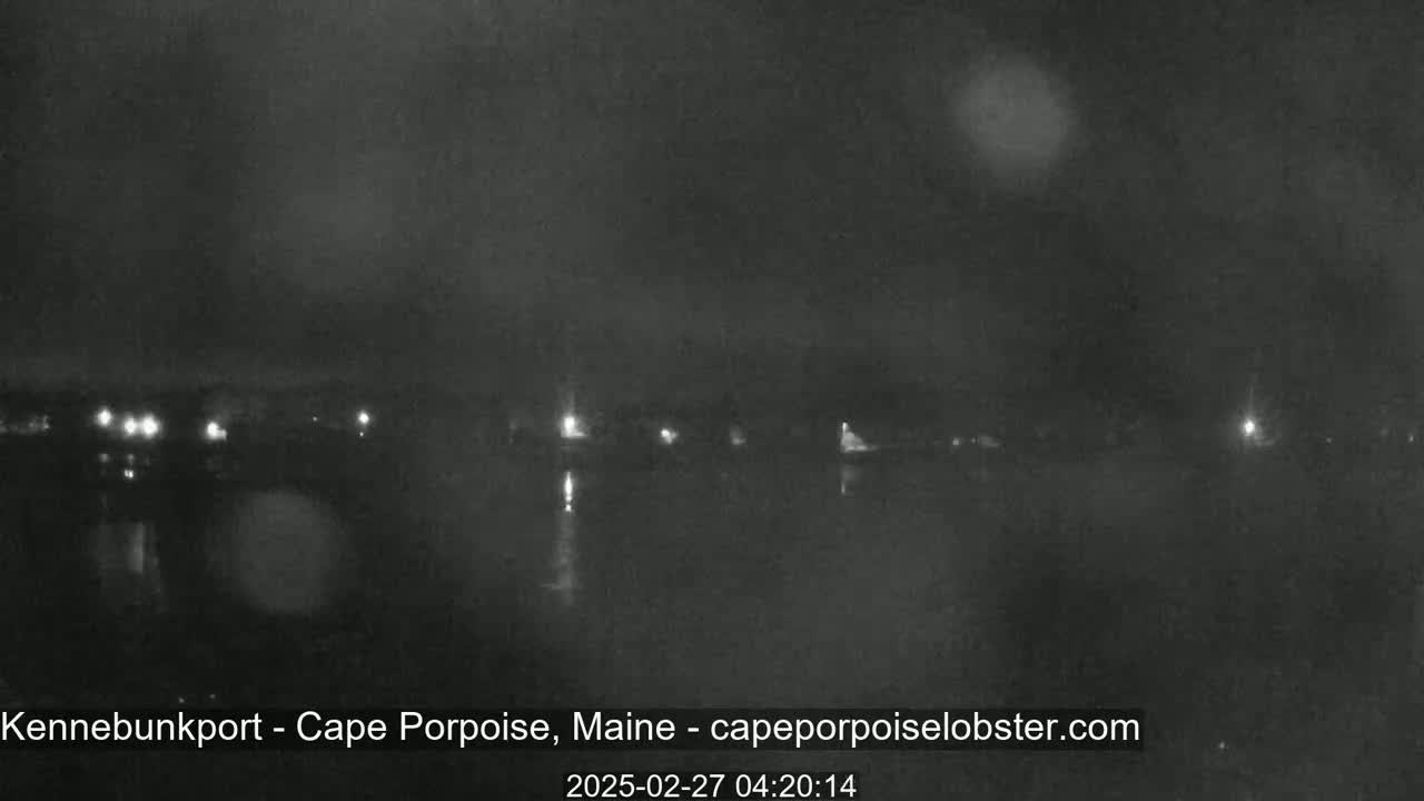 A nighttime, blurry view of a calm body of water reflecting a dimly lit shoreline under a hazy sky.