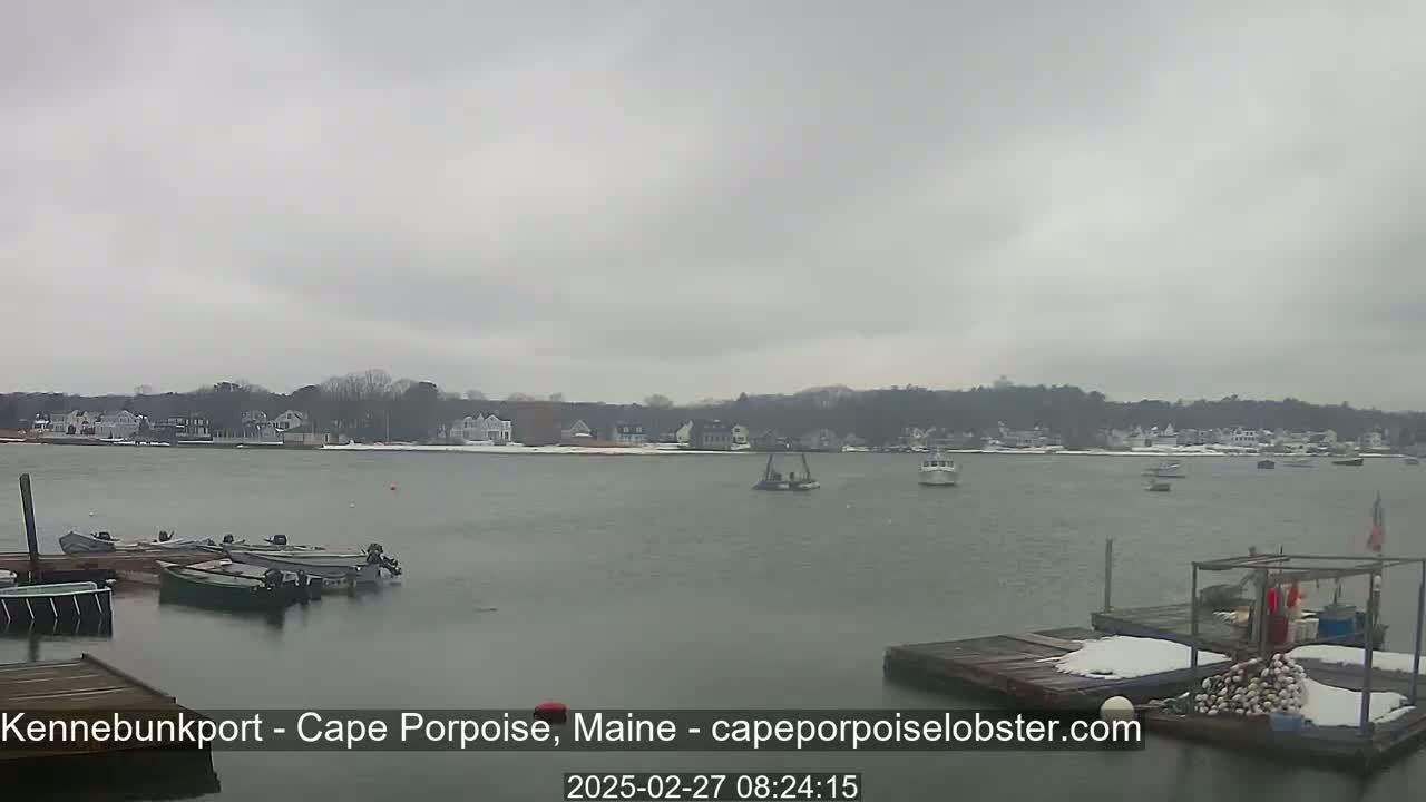 Several boats are moored at a dock in a calm body of water under an overcast sky, with a shoreline of houses and trees in the background.