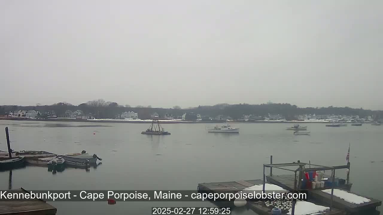 A calm, overcast day shows a harbor with several boats, some docked and some in the water, and a shoreline with houses and trees in the background.