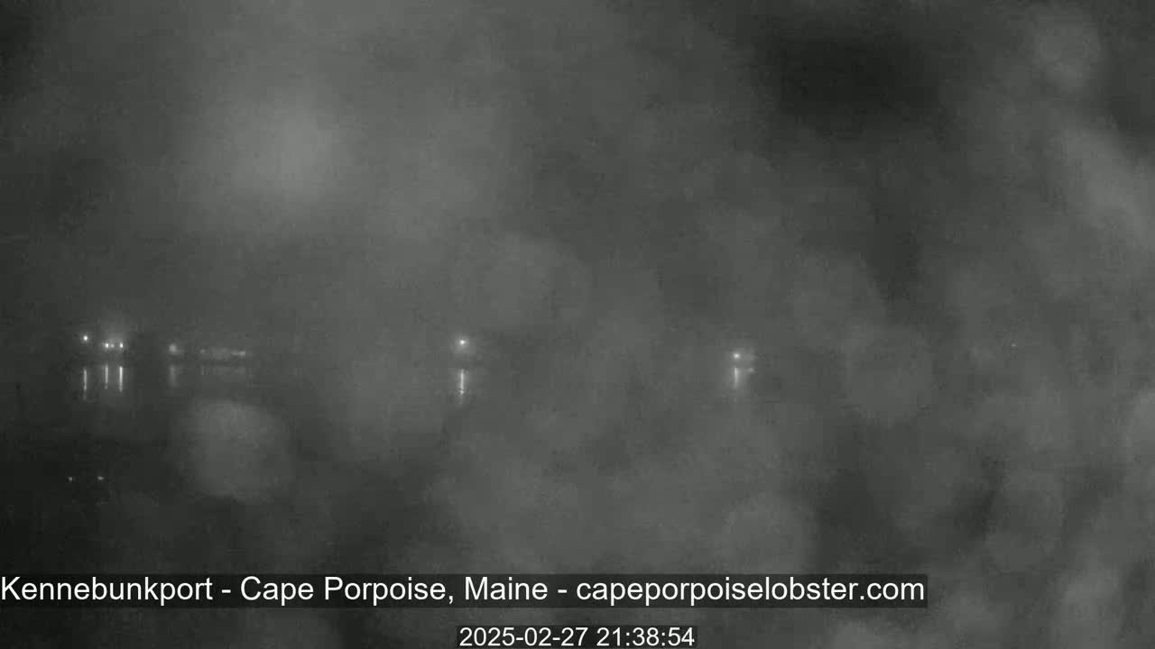 A nighttime, foggy view of a waterfront area with faint lights visible in the distance.