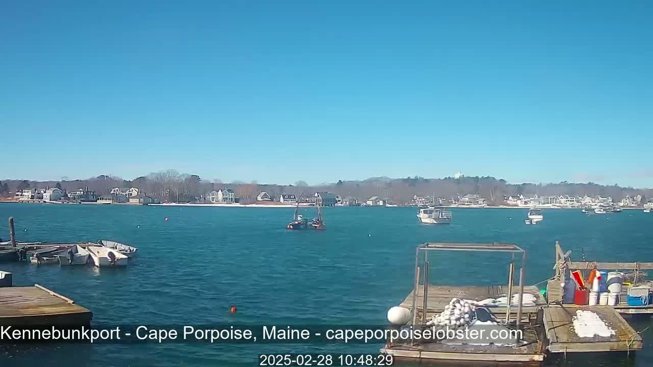 A sunny day reveals a calm body of water with several boats near a dock and houses along the shoreline in the distance.