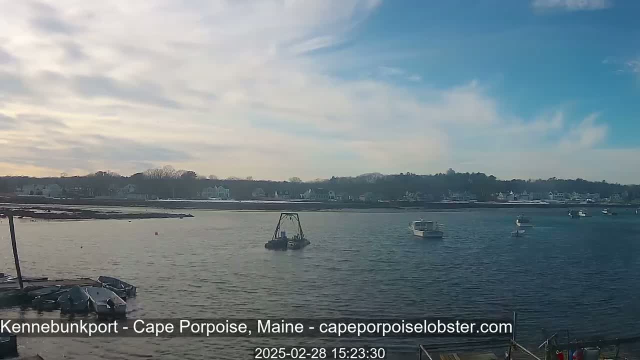 A mostly sunny day shows several boats in calm water in front of a shoreline with houses and trees.