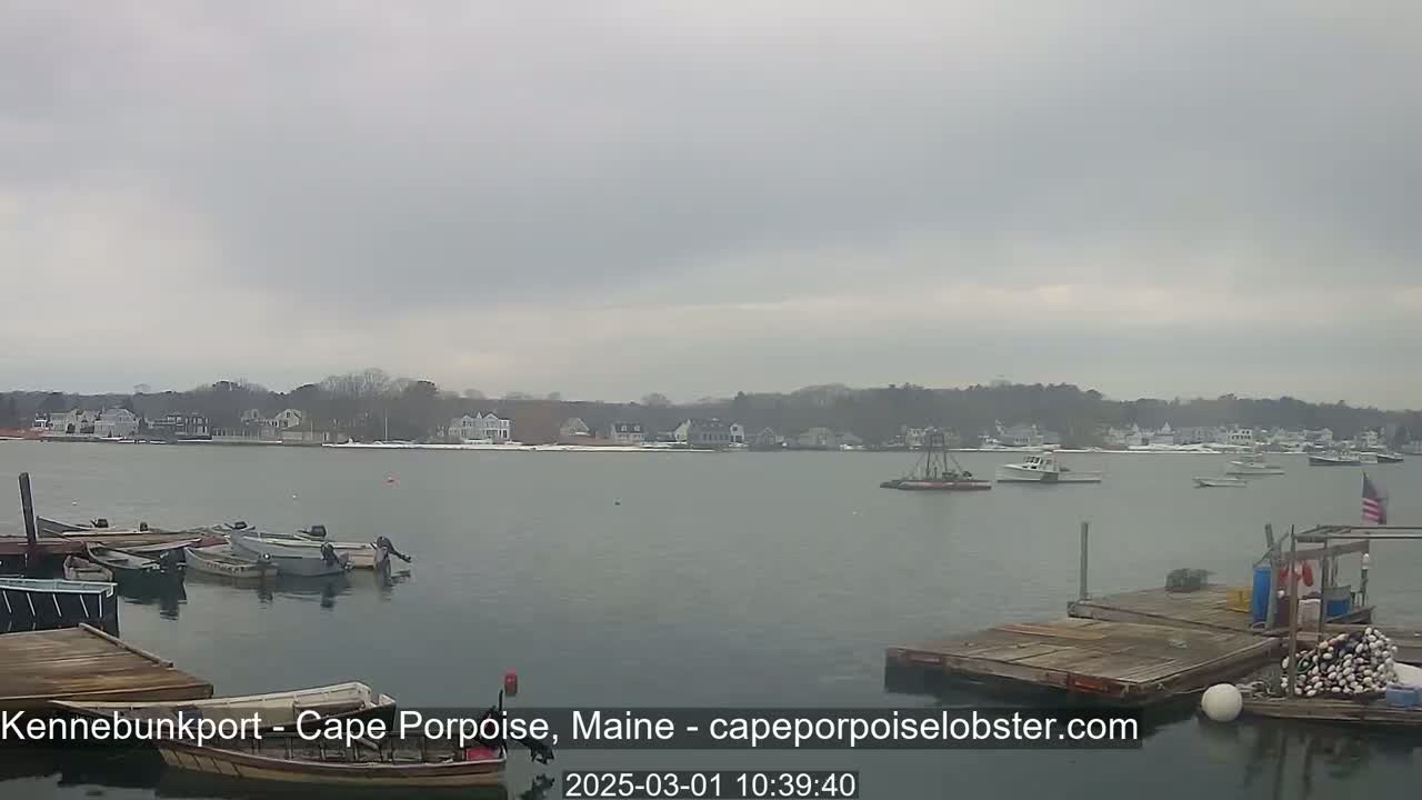 Several boats are moored at a dock in a calm harbor on an overcast day, with a residential area visible in the distance.