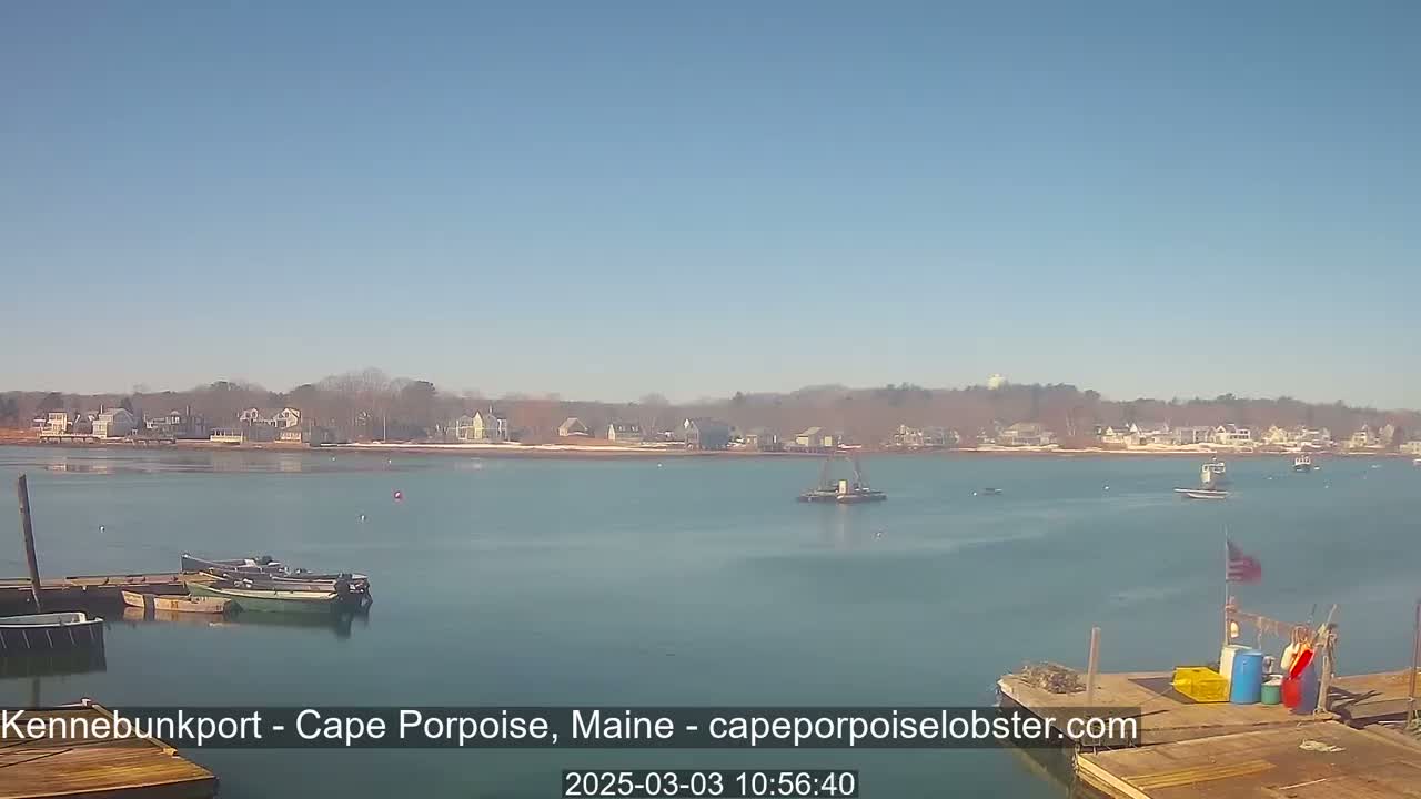 A calm body of water shows several small boats near a dock in the foreground, with a shoreline of houses and trees visible in the distance under a clear blue sky.