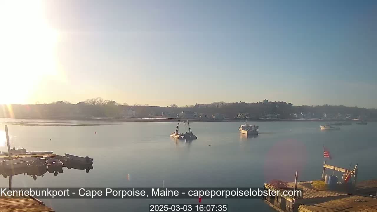 Several boats are moored in a calm body of water under a bright, sunny sky, with a shoreline of houses and trees in the background.