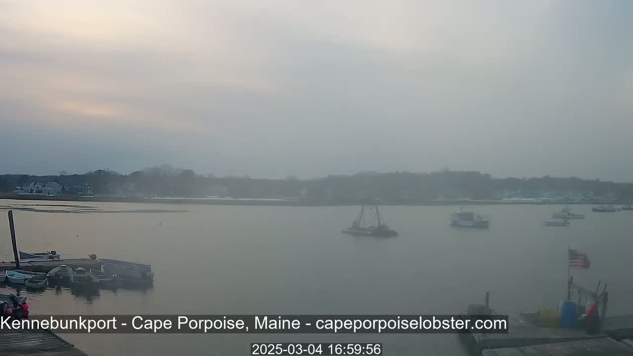 Several boats are moored at a dock on a foggy body of water, with more boats visible further out and a shoreline in the background.