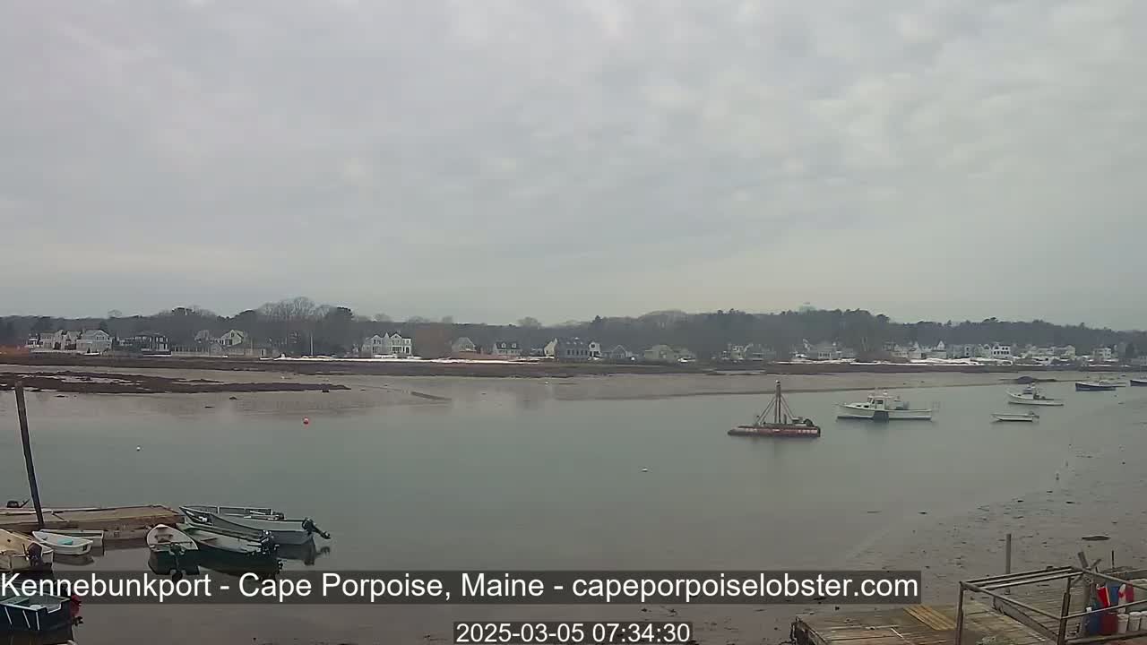 A calm, overcast day reveals a coastal scene with several small boats in the water near a shoreline dotted with houses and low-lying vegetation.