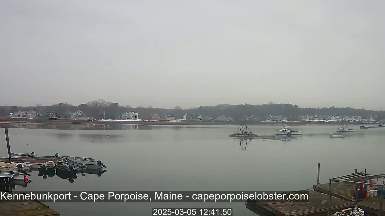 A calm, overcast day shows a body of water with several small boats docked and a few others on the water, across from a shoreline of houses and trees.