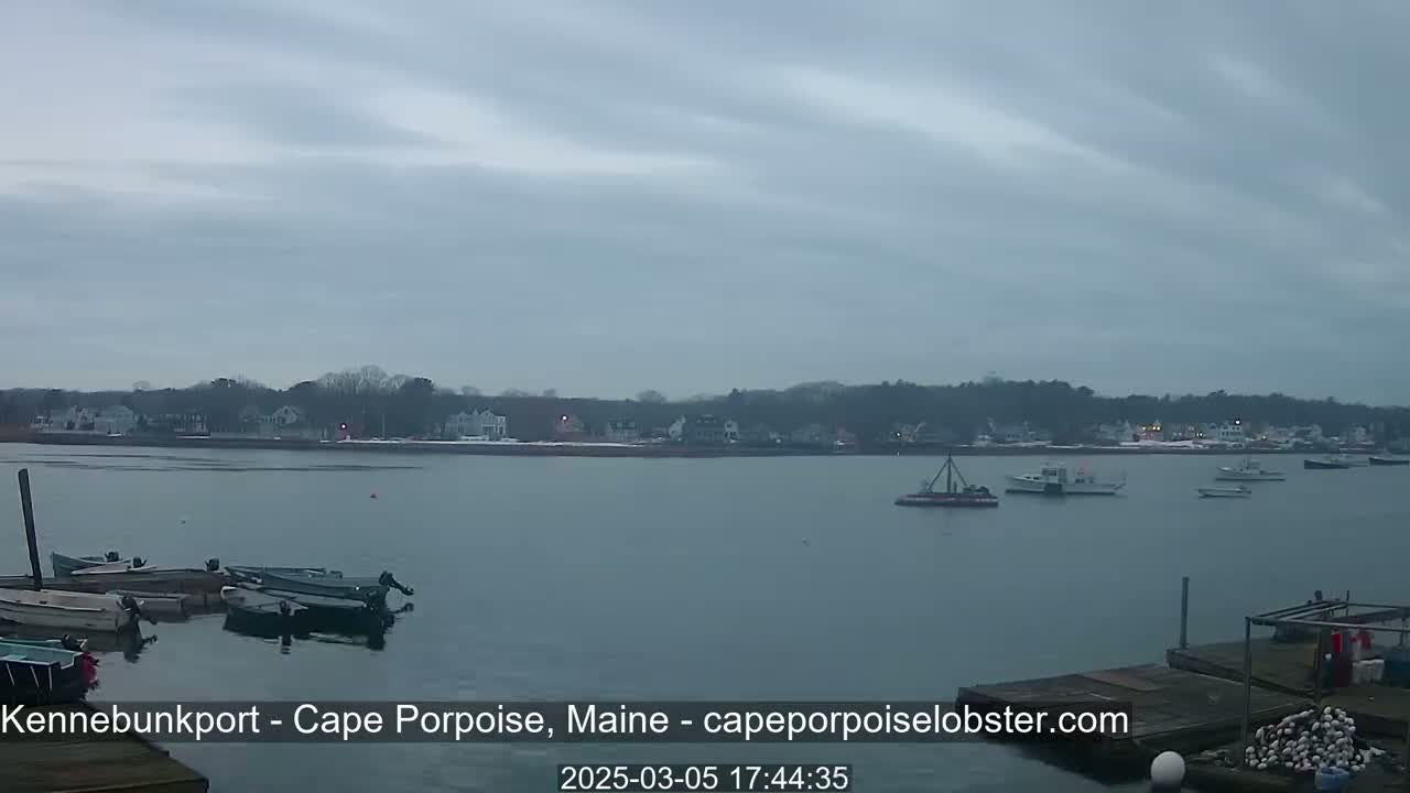 Several boats are moored in a calm harbor under an overcast sky, with a small town visible across the water.