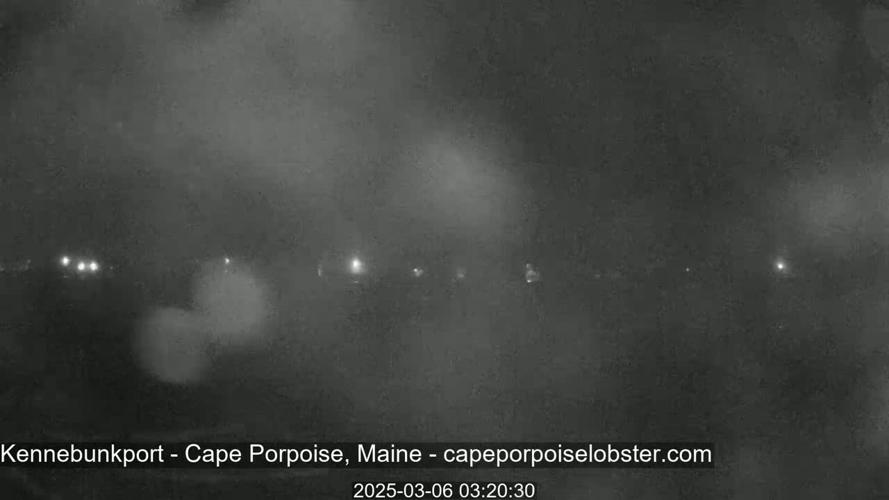 A nighttime, foggy scene shows a dimly lit roadway with several distant lights.