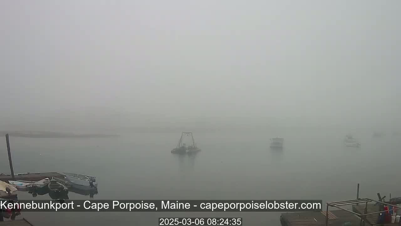 A thick fog obscures a view of a body of water with several boats and a small dock.