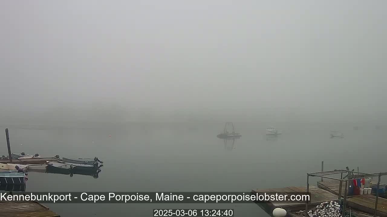 Several small boats are moored at a dock on a foggy body of water.