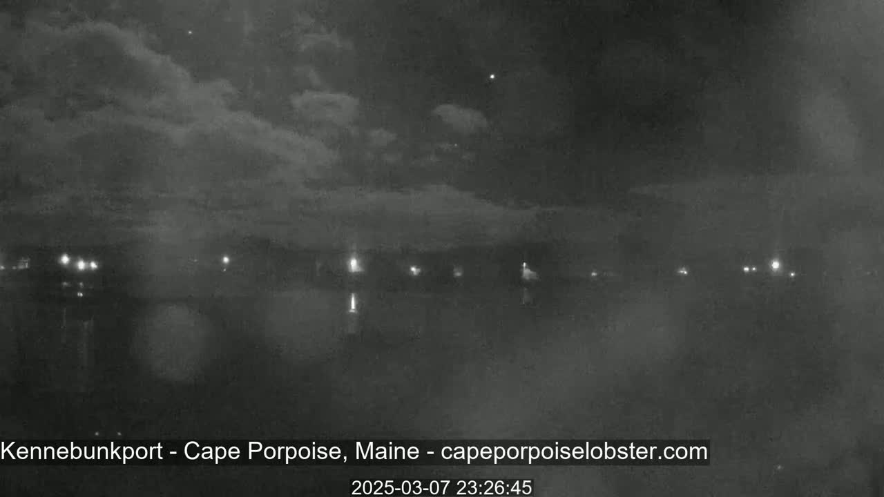 A nighttime view of a body of water with a few distant lights on the far shore under a cloudy sky.