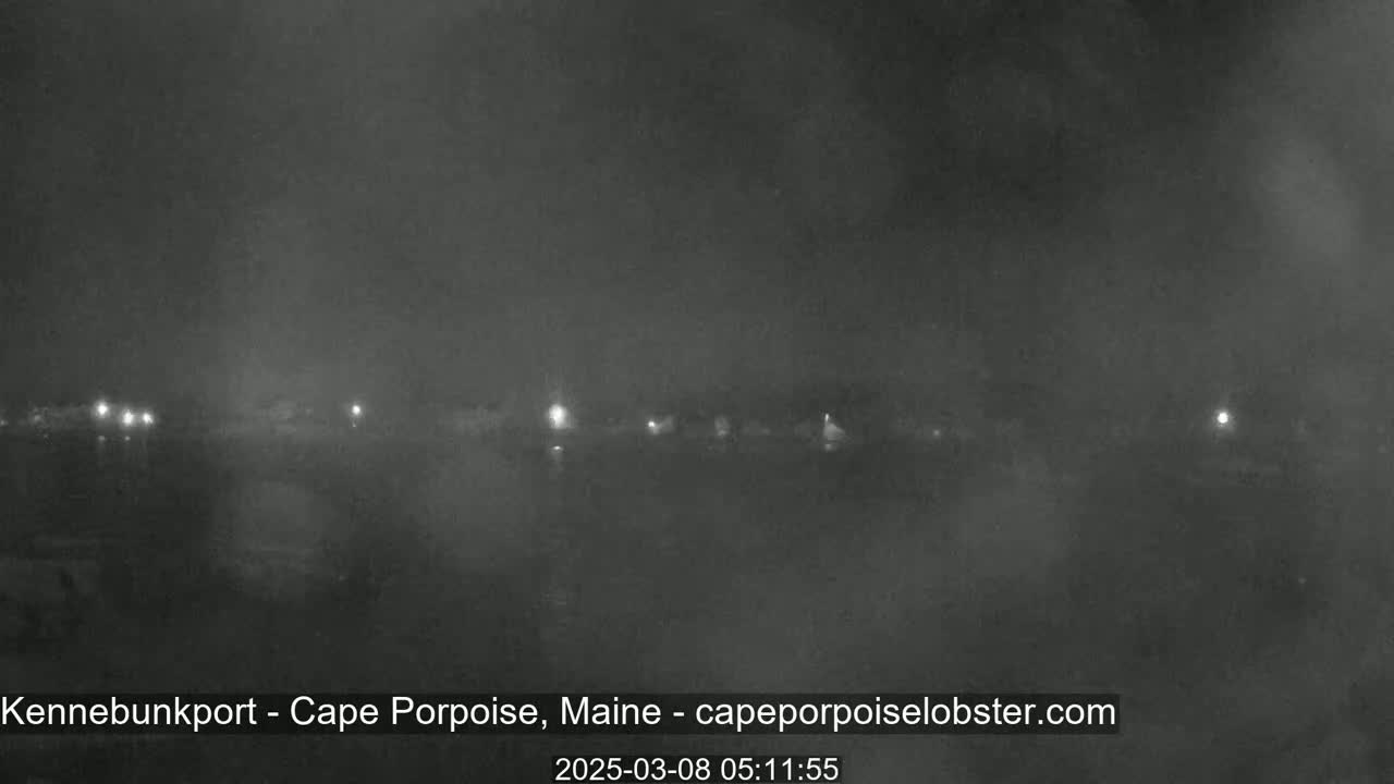 A dark, foggy night scene shows a line of dimly lit buildings across a body of water.