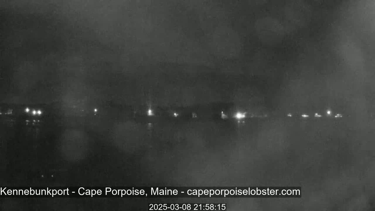 A nighttime, foggy view shows a dimly lit shoreline with scattered lights.