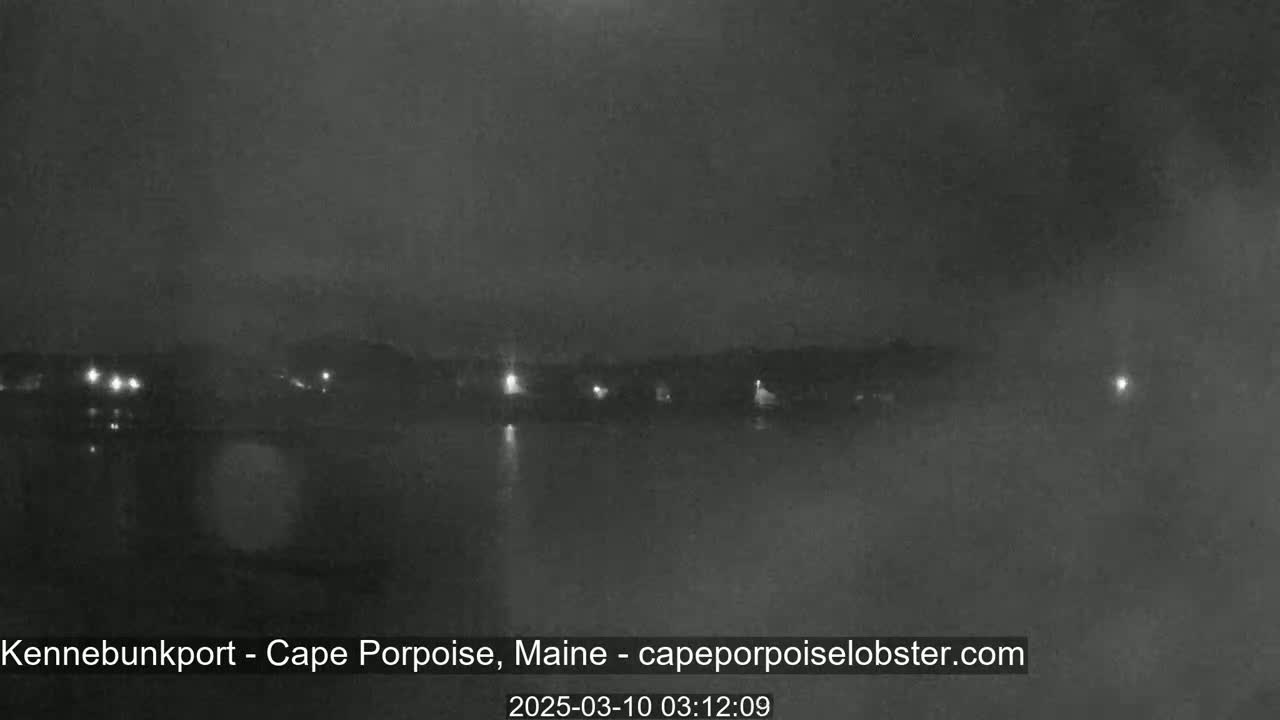 A nighttime, hazy view of a body of water with dimly lit buildings and trees in the background.