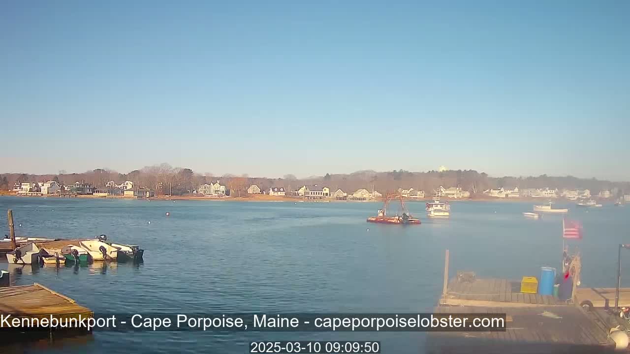 A calm body of water shows several boats docked and others underway, with a shoreline of houses and trees under a clear, sunny sky.
