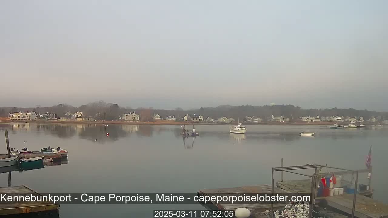 Several boats are moored at a calm waterfront, with a hazy sky and a quiet residential area visible in the background.