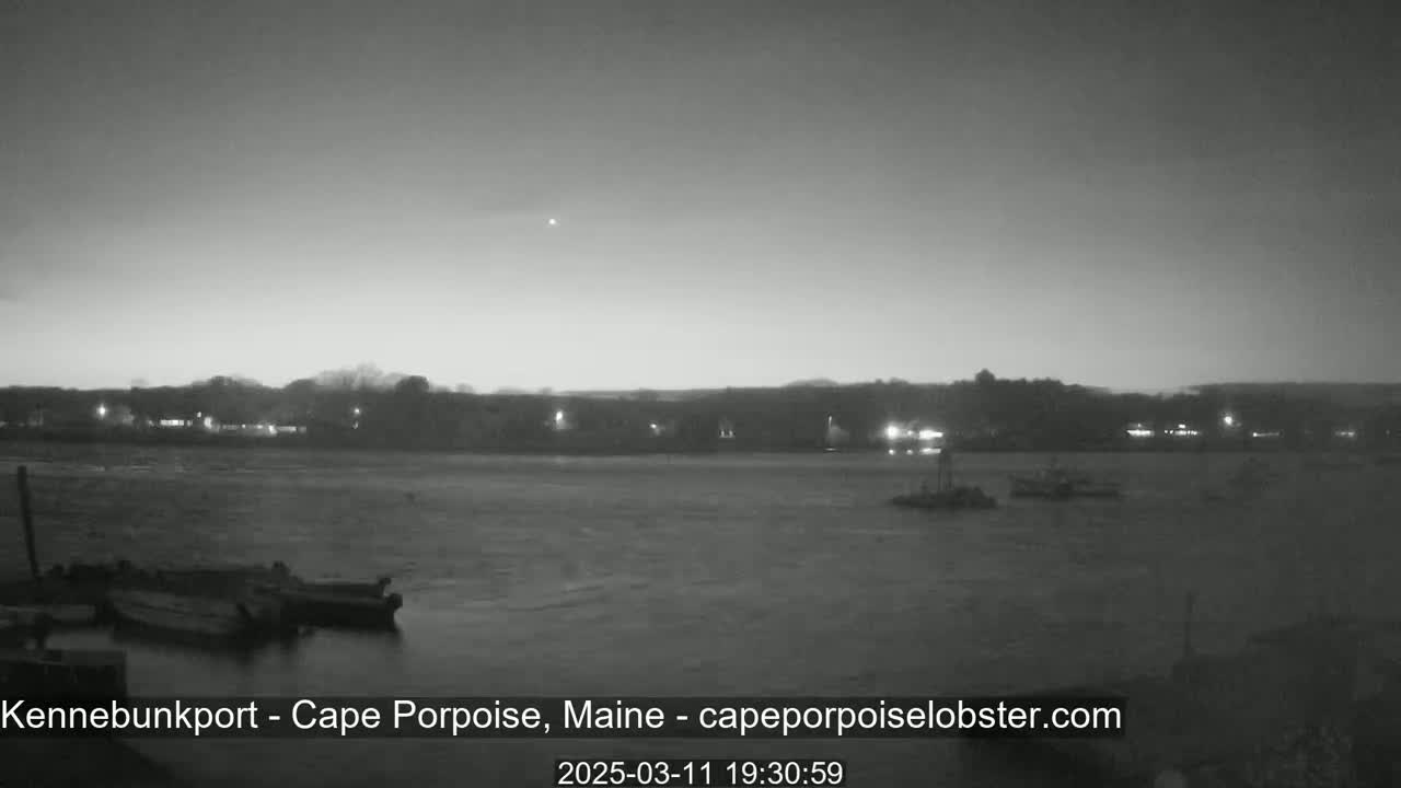 A nighttime, grayscale view of a calm body of water with several boats at a dock and a shoreline with lights in the distance under a clear, dark sky.
