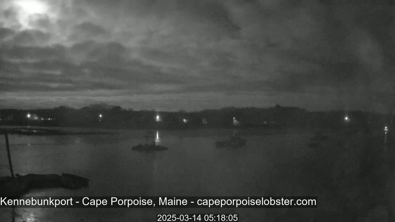 A nighttime, overcast scene shows a calm body of water with several boats and a distant shoreline with sparse lights.