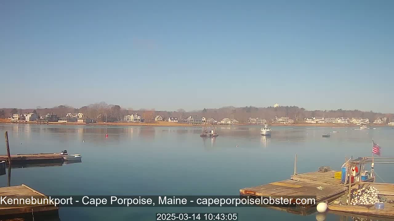 A calm body of water with several small boats and docks in the foreground, and a line of houses on a tree-covered shore in the background under a clear, sunny sky.