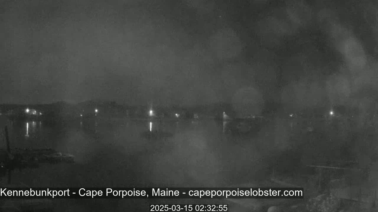 A nighttime, foggy view of a calm body of water with dimly lit buildings on the far shore.