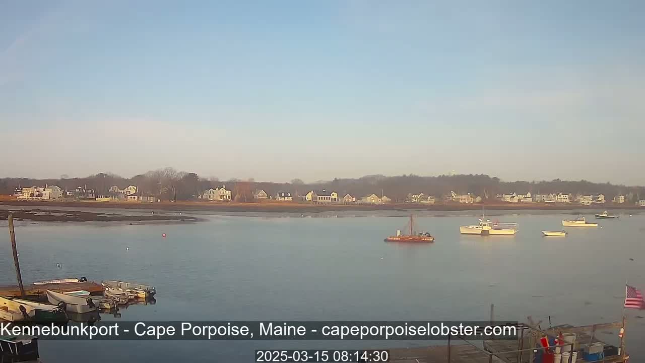 A calm body of water shows several small boats and a larger vessel, with a shoreline of houses visible in the background under a clear, light-blue sky.