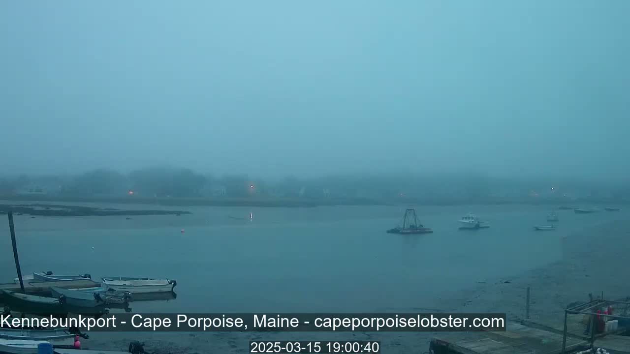 Several small boats are moored in a foggy harbor, with a hazy town visible in the background.