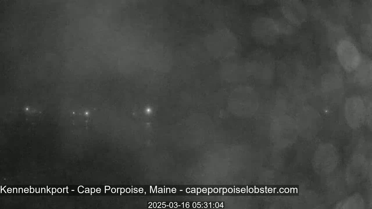 A foggy, nighttime scene shows a dimly lit shoreline with a few distant lights visible.