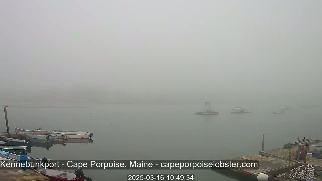 A foggy harbor scene shows several boats moored at a dock with other boats visible further out in the water.