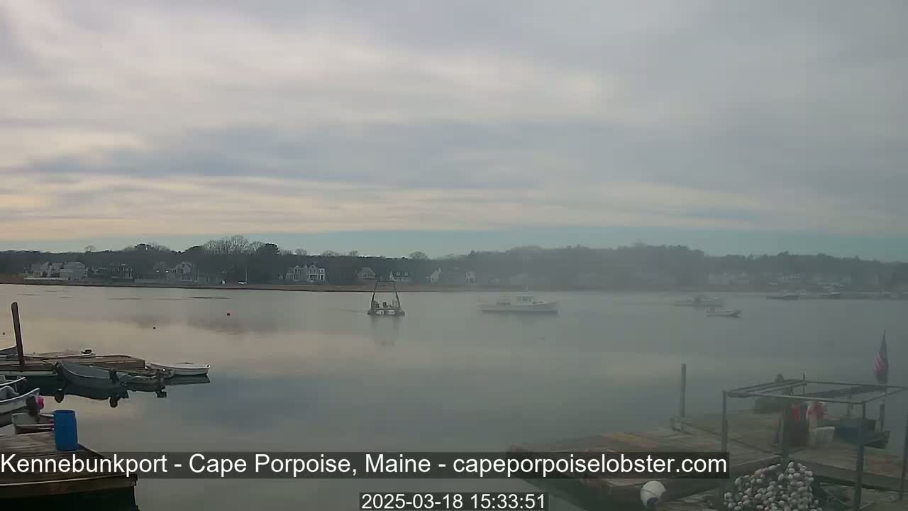 A hazy, overcast day reveals a calm body of water with several boats moored near a shoreline dotted with houses and trees.