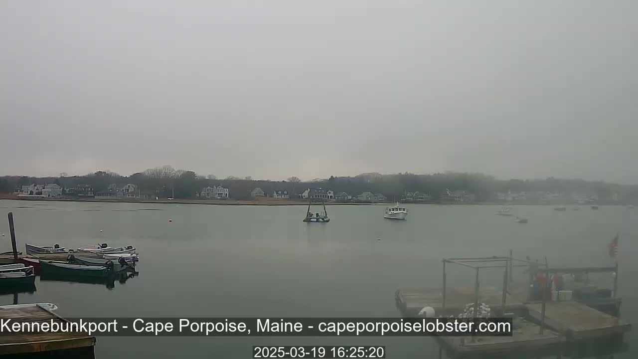 Several boats are moored at a dock in a calm body of water under an overcast sky, with houses and trees visible in the distance.